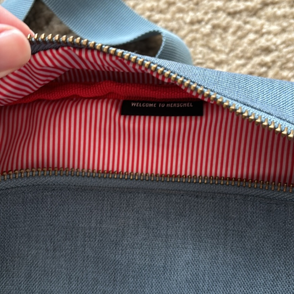 Hershel Hip Pack - image 5